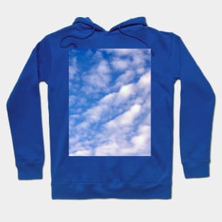 A perfect day Hoodie